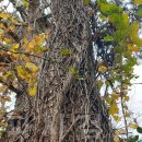 송담3로 이미지