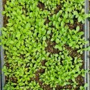 불태산농장 이미지