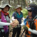 부동목장 이미지