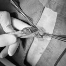 상일 쓰담쓰담 동물병원 이미지