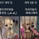 수리다비다언더월드