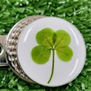 네잎클로버 이미지