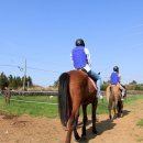 리오파크 이미지