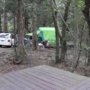 서귀포자연휴양림 캠핑과 제주모구리야영장... 이미지