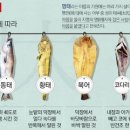 노가리이야기