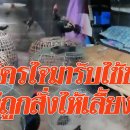 [태국 뉴스] 7월 18일 정치, 경제, 사회, 문화 이미지