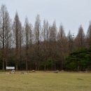 정발산공원 이미지