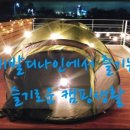 비발디나인풀빌라 이미지