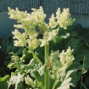 장군한의원 이미지