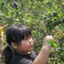 만우농장 이미지