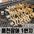 풍천장어1번지 | [광양 맛집] 광양 용강리 민물장어구이 / 풍천장어 1번지