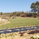 부용공인중개사사무소 이미지