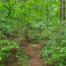 청계산갈비 이미지