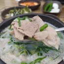 기쁨가득한약국 | 부산 센텀시티 국밥 맛집 고향옥얼큰순대국 시래기 수육 국밥 먹방