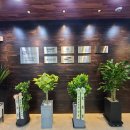 양치과의원 이미지