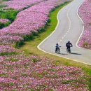 아름다운 이미지