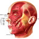 몸바른한의원 이미지