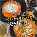 현장식당 | 강원도 속초 산오징어 물회 맛집 ‘완도회식당’ 주말 현장웨이팅 대기등록 오픈런 후기