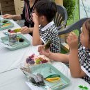 고무신 꾸며 다육이 심기 | 도심 속 봄축제에서 만나는 자연, 식물체험부스 체험 포인트 ✨ (전북,전남출장)