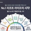 뉴캐슬공인중개사사무소 이미지