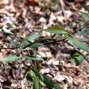 개산초등학교 이미지