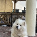 제주게스트하우스파티 한림역 | [제주 한림] 동행in협재 게스트하우스 후기