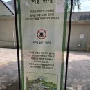 씨유(CU)용인완장점 | 에버랜드 도시락 어디서 먹나요 피크닉존 피크닉 에어리어 컵라면도 ⭕