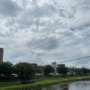 대성사우나 | 충주 자유시장 대성야채만두 후기｜수안보 라마다호텔 온천 숙박