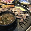 생고기대학교 이미지