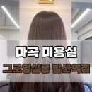 세븐일레븐S발산역점(마곡) | 마곡 미용실 그로잉살롱 발산역점 퍼스널 염색 후기
