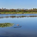 율동공원 이미지