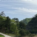 노추산힐링펜션