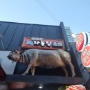 쌍문동차돌집