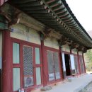 순천-60호 Daum카페