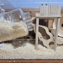 로던트클럽 강서마곡점 이미지