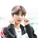 태영장식