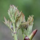 정운농장 이미지