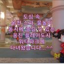 푸른솔1공인중개사사무소 이미지