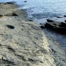 창선 가인리화석산지 이미지