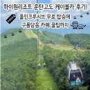 픽미픽미아이스 당정역점 | 하이원리조트 운탄고도 케이블카 후기! 올인크루시브 무료 탑승에 구름담음 카페 꿀팁까지