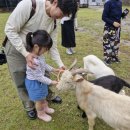 신기가족농장 이미지
