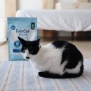 플러스자원환경 | 고양이 사료는 네이버 펫 바우처로 페어캣 곤충사료 후기