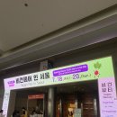 올고톡 | 2025 비건페어 인 서울 코엑스 비건 박람회 후기
