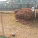 파인파골프클럽 이미지