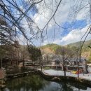 강원특별자치도청소년수련원 | 원주 피노키오숲 아이랑 1박2일 숙소 추천, 숙박 패키지 후기(바베큐,숲해설,족욕,조식)