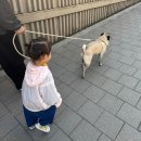 유니온어린이집 | 돌아기 여름 아기 모이몰른 유니온 바람막이 신상 100 사이즈 솔직 후기