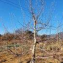 대호농장 이미지