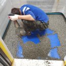 대정요양병원 이미지