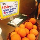 북촌순두부 이미지