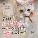 메모리펫 | 2026년 케이 펫페어 관람 후기! 가장 기억에 남은 건 '이것'이었습니다🐾